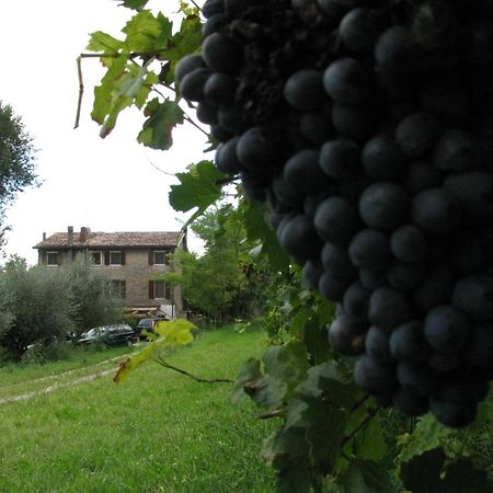 I Vigneti Bed & Breakfast Salionze Dış mekan fotoğraf