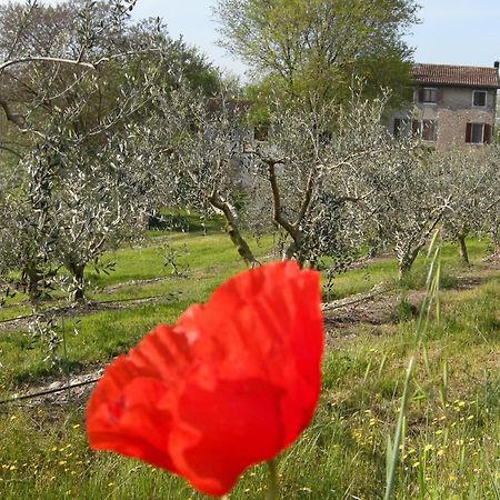 I Vigneti Bed & Breakfast Salionze Dış mekan fotoğraf